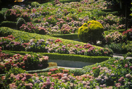 Montclair Gardens, Montclair, NJのeditorial素材