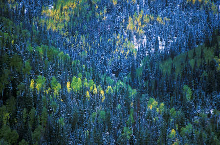 Aerial view of San Juan National Forest, Autumn, COのeditorial素材