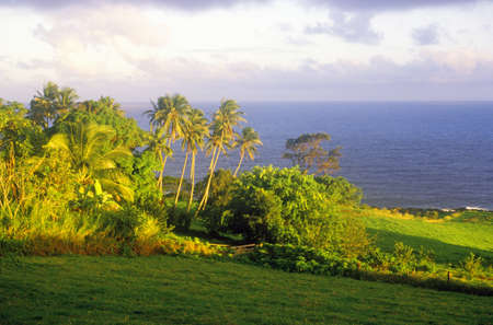 Landscape of road to Hana, Maui, HIのeditorial素材