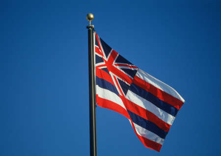 State Flag of Hawaii