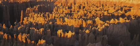 Hoodoos at Sunrise, Bryce Canyon National Park,Utahのeditorial素材