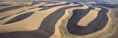 Wheat Fields and Contour Farming, S.E. Washingtonのeditorial素材