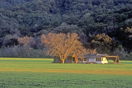 Spring in Ojai, Californiaのeditorial素材