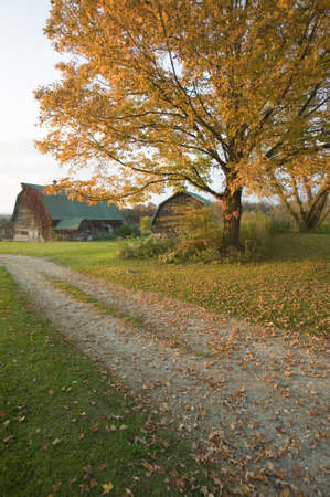 Autumn leaves, red barn and dirt path in Litchfield Hills of Connecticutのeditorial素材