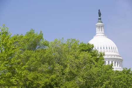 Trees in spring covers U.S. Capitol Dome in Washington D.C.のeditorial素材