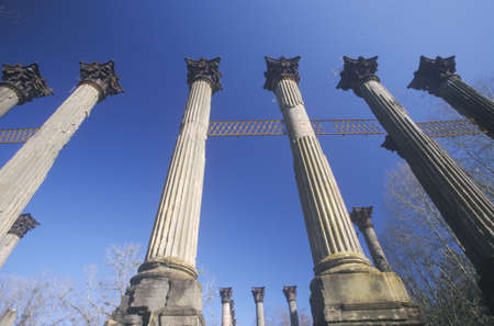 Windsor Ruins are the ruins of the largest antebellum Greek Revival mansion built in the US state of Mississippi, Claiborne County, Mississippi のeditorial素材