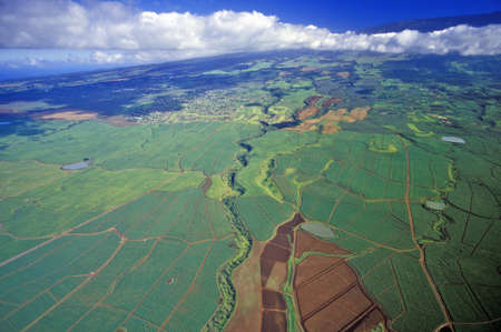 Aerial View of Sugar Fields, Maui, Hawaiiのeditorial素材