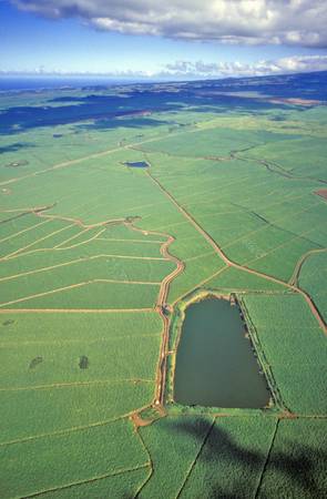 Aerial View of Sugar Fields, Maui, Hawaiiのeditorial素材