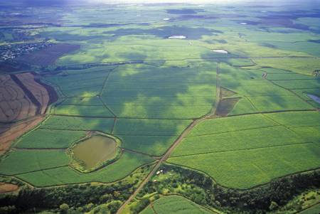 Aerial View of Maui, Hawaiiのeditorial素材