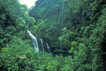 Waterfalls in Maui, Hawaiiのeditorial素材