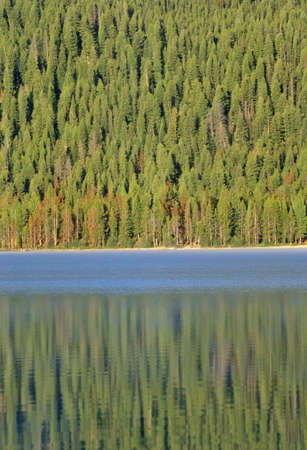 Redfish Lake and Pine Trees at Sunrise, Idahoのeditorial素材