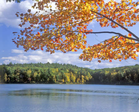 Walden Pond, Massachusettsのeditorial素材