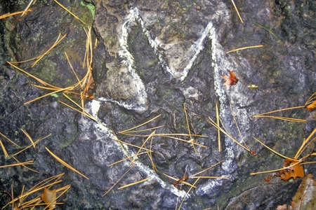 Dinosaur Footprint, South Hadley, Massachusettsのeditorial素材