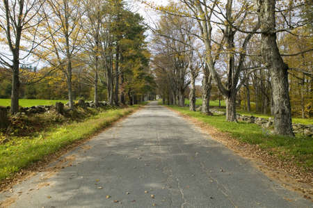 Backroads in autumn on Mohawk Trail in western Massachusetts, New Englandのeditorial素材