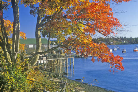 View of Autumn coastline in New Harbor, MEのeditorial素材