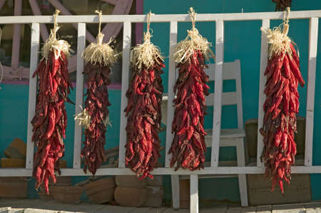 Chili Peppers on Mescalero Apache Indian Reservation near Ruidoso and Alto, New Mexicoのeditorial素材