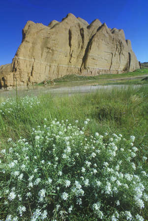 Red Rock landscape in Gallup NMのeditorial素材