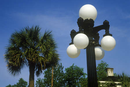 Lampposts with palm trees in background, Charleston, SCのeditorial素材