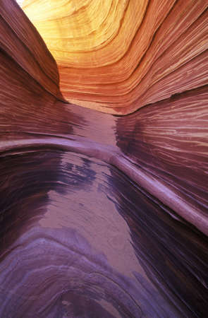 Close up of sandstone stripes, 'The Wave' on Kenab Coyote Butte, BLM, Slot Canyon, UTのeditorial素材