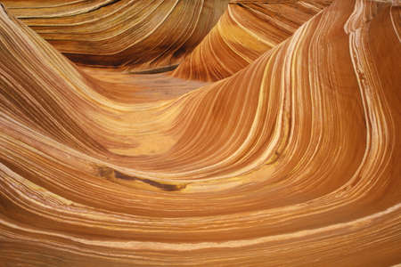 Close up of sandstone stripes, 'The Wave' on Kenab Coyote Butte, BLM, Slot Canyon, UTのeditorial素材