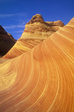 Close up of sandstone stripes, 'The Wave' on Kenab Coyote Butte, BLM, Slot Canyon, UTのeditorial素材