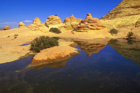 Close up of sandstone stripes, 'The Wave' on Kenab Coyote Butte, BLM, Slot Canyon, UTのeditorial素材