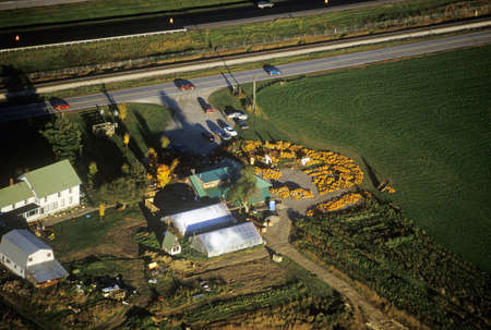 Aerial view of pumpkin patch on Scenic Route 100 in autumn in VTのeditorial素材