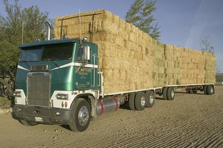 Parked truck loaded with neatly stacked hay bales near Cuyama, Californiaのeditorial素材