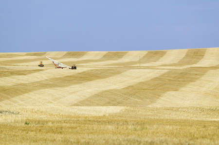 Field of grain alongside US 34, South Dakotaのeditorial素材