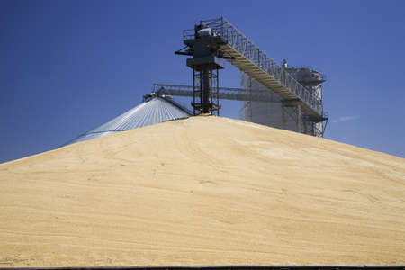 A pyramid of corn grain near railroad station in North Platte, Nebraskaのeditorial素材