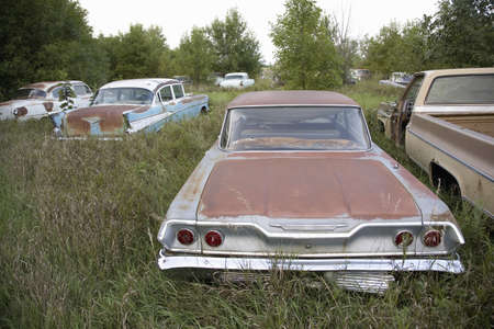 New Chevrolets and 1960's cars, never before run, rotting in farm field near Norfolk, Nebraska