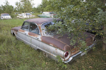 New Chevrolets and 1960's cars, never before run, rotting in farm field near Norfolk, Nebraskaのeditorial素材