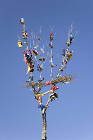 Indian Prayer Tree from Gathering of Grandmas, near Hot Springs, South Dakotaのeditorial素材
