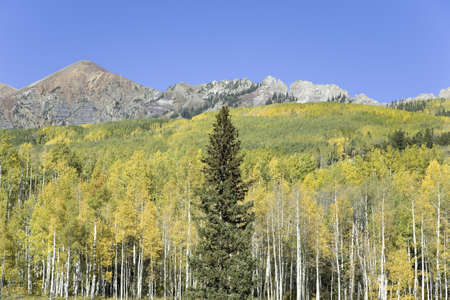 Autumn color with mountains in background on dirt road toward Crested Butte Coloradoのeditorial素材