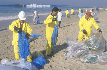 Teams of environmental workers organizing cleanup efforts of the oils spill in Huntington Beach,...