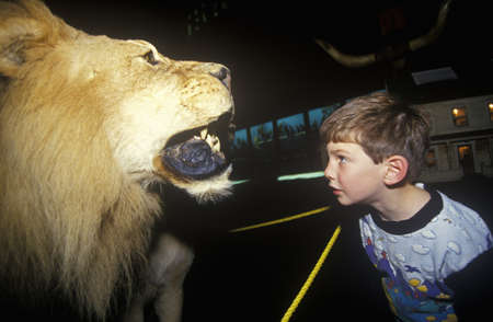 Young boy peering at stuffed lion in Fairbanks Museum and Planetarium in St. Johnsbury, VTのeditorial素材