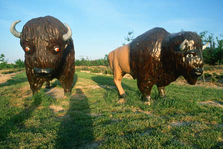 Roadside attraction of American Buffalo replicasのeditorial素材