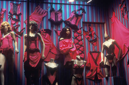 Women's lingerie in a storefront window, Melrose Blvd, Los Angeles, CAのeditorial素材