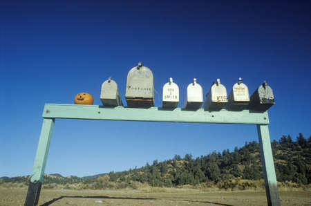 Row of country road mailboxes and pumpkin on Highway 33, Ojai, CAのeditorial素材