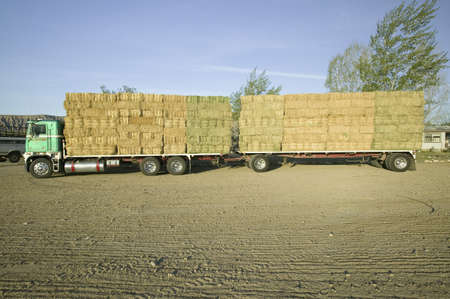 Parked truck loaded with neatly stacked hay bales near Cuyama, Californiaのeditorial素材