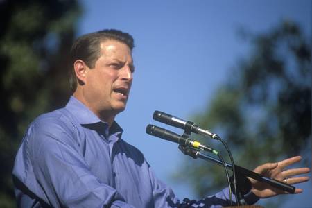 Vice President Al Gore campaigns for the Democratic presidential nomination at Lakewood Park in...
