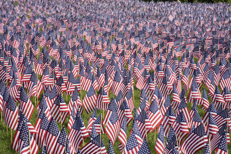 20,000 American Flags are displayed for every resident of Massachusetts who died in a war over the past 100 years, Boston, MA, Memorial Day, 2011のeditorial素材