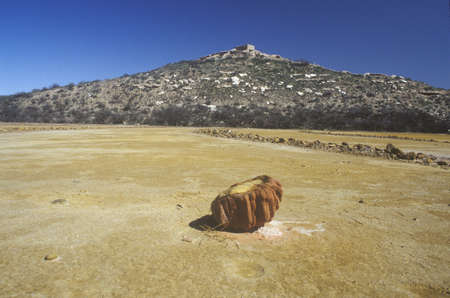 Old growth at Indian ruins in AZ's high desertのeditorial素材
