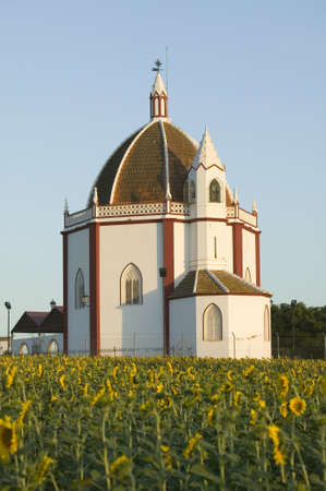 Moorish building in field of sunflowers in late afternoon sunlight outside of Sevilla, southern...