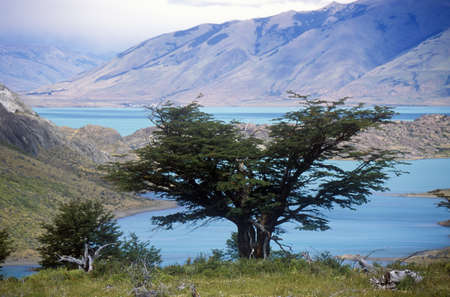 Argentina's largest lake, Lago Argentino in Parque Nacional Las Glaciares, near El Calafate, Patagonia, Argentinaのeditorial素材