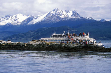 Eco-Tourism Boat and Southern Sea Lions near Beagle Channel and Bridges Islands, Ushuaia, Southern Argentinaのeditorial素材