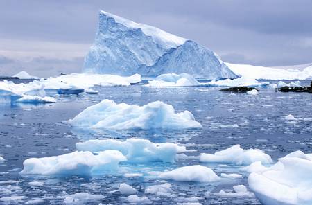 Icebergs in Paradise Harbor, Antarcticaのeditorial素材