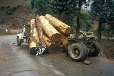 Logging truck accidental log spill, Kunming, Yunnan Province, People's Republic of Chinaのeditorial素材