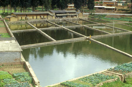 Aquaculture fish ponds in Kunming, People's Republic of Chinaのeditorial素材