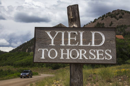 Road sign saying Yield to Horses, Colorado, USAの写真素材